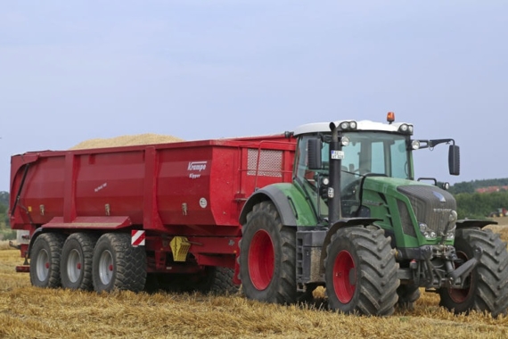big-body-900-001