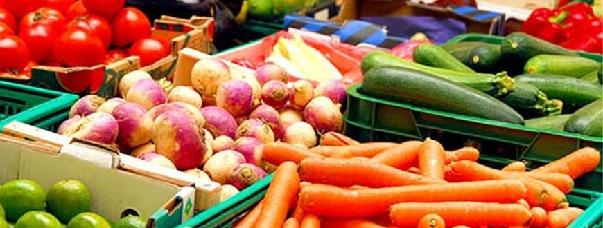 koogiviljakaitlusseadmed-banner